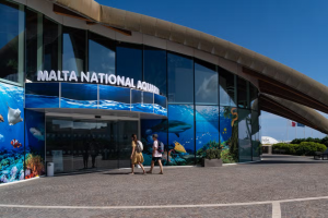 entrada-acuario-malta